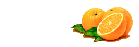 Orange3 – Comprar Naranjas Online Logo